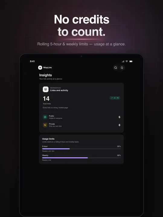 No credits to count: on iPad, the Insights screen with link counts and the 5-hour and weekly usage meters.